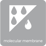 molecular membrane